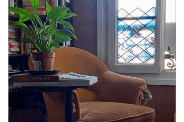 Where is the rabbit hiding?