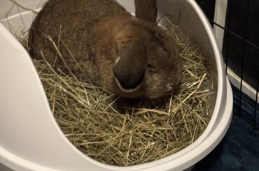 Please Welcome Monty.