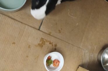 Coring a strawberry to sneak in liquid pain medicine