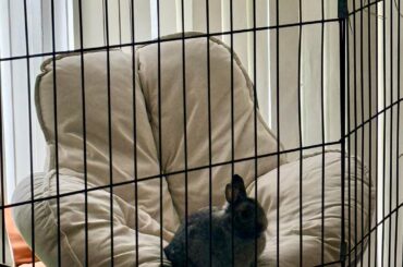 Money well spent mum