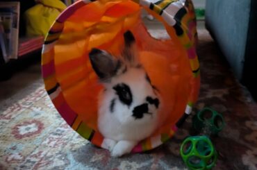 always amazed at his adaptability!