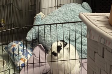 does he look like hes in pain