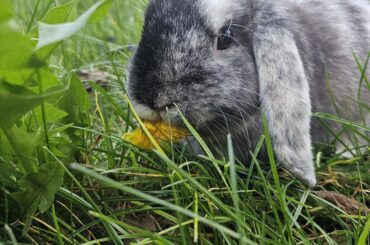 Lil man enjoying our first sunny days out in my garden