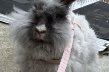 How dare you tell me to exercise!