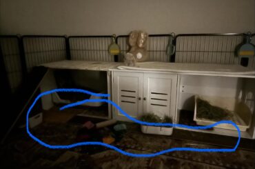 Is this board ok to have here?