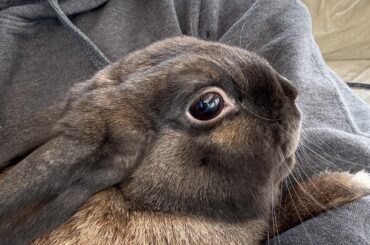 Does he hate this or enjoy it?