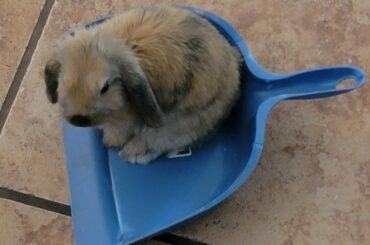 First Trip Out of Town Advice