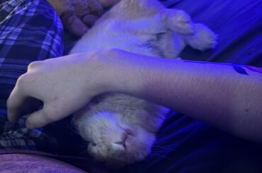 So glad I caught this. Was just petting her when…