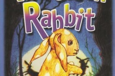 This bunny movie brings me so much joy even though it's practically just an audio book, it's so cute and all the rabbits are so cutlie drawn and his want to be a real rabbit hits me in the feels