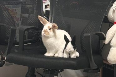 sitting with his buddy :D