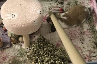 Tube for the Nort today
