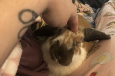 Right where he wants to be