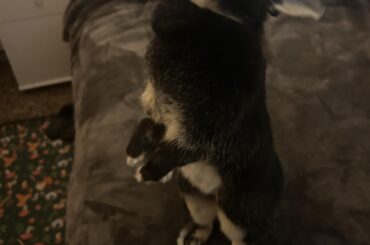 Be sure to get my good side for my OnlyBuns!