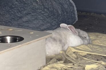im asking to excuse the mess , but look at this BABY
