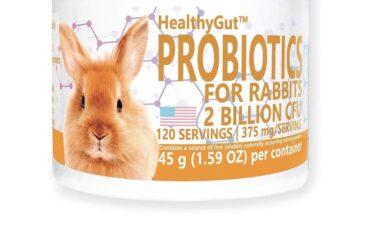 Does anybody use this or something similar?