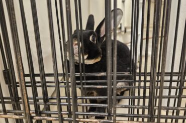 She put herself in jail, wonder what her crime was?