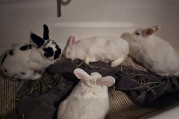 Bonding pics 📸💖