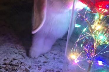 Tale as old as time...