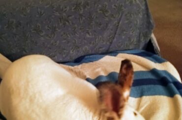 This month marks ten years with my brown-eyed girl, Sybil. And counting.