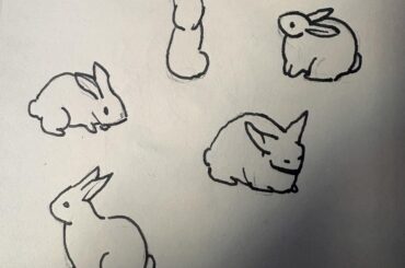 Our artist is sketching bunnies for the game we're making - which PAWSes have we forgotten?