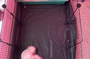 Adequate Living Space?