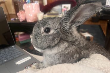 He was *trying* to relax