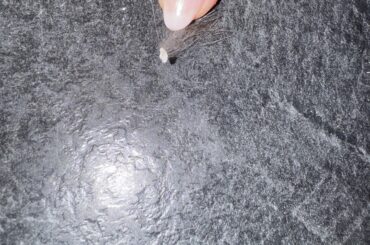 Could this be fur mites?