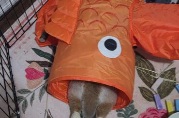 "I mean, everybody spends nights in the drunk tank. I have been there about 10 times. I'm sure you have..."