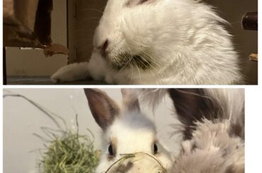 One year ago today my bun survived the unsurvivable