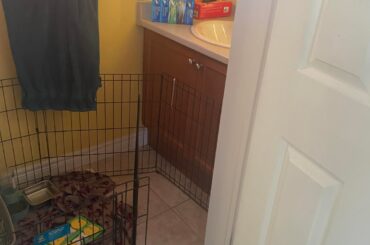 Overnight safety options. Pet store cage?