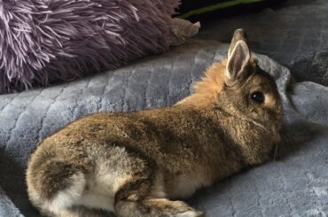 Time to watch TV with mom