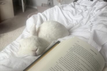 cozy morning with my bff!