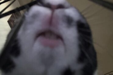 Teefie Tuesday Anyone?