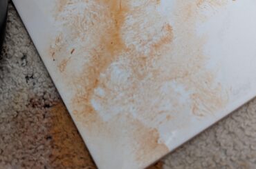 Bloody Pee or food colored pee