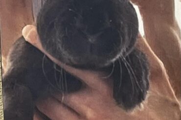 My first pic of Spooky