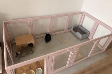 New playpen for my bunnies! Any tips?