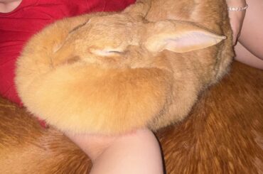 My bf doesn’t like my bunny but I know this subreddit does😎