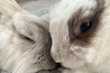 Up close and personal