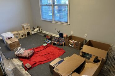 I love my unaesthetic bun room