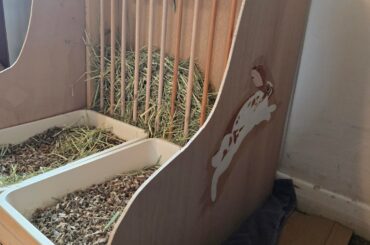 Finished their throne.