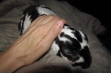 I have to pee but she's sitting on my lap