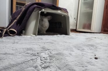 Never disturb Pinklebun in his Pinklecave.