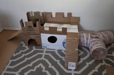 Made a bunny fort this weekend