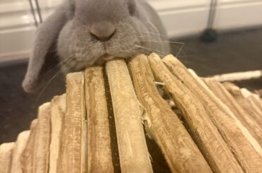 That nose and mouth 😍