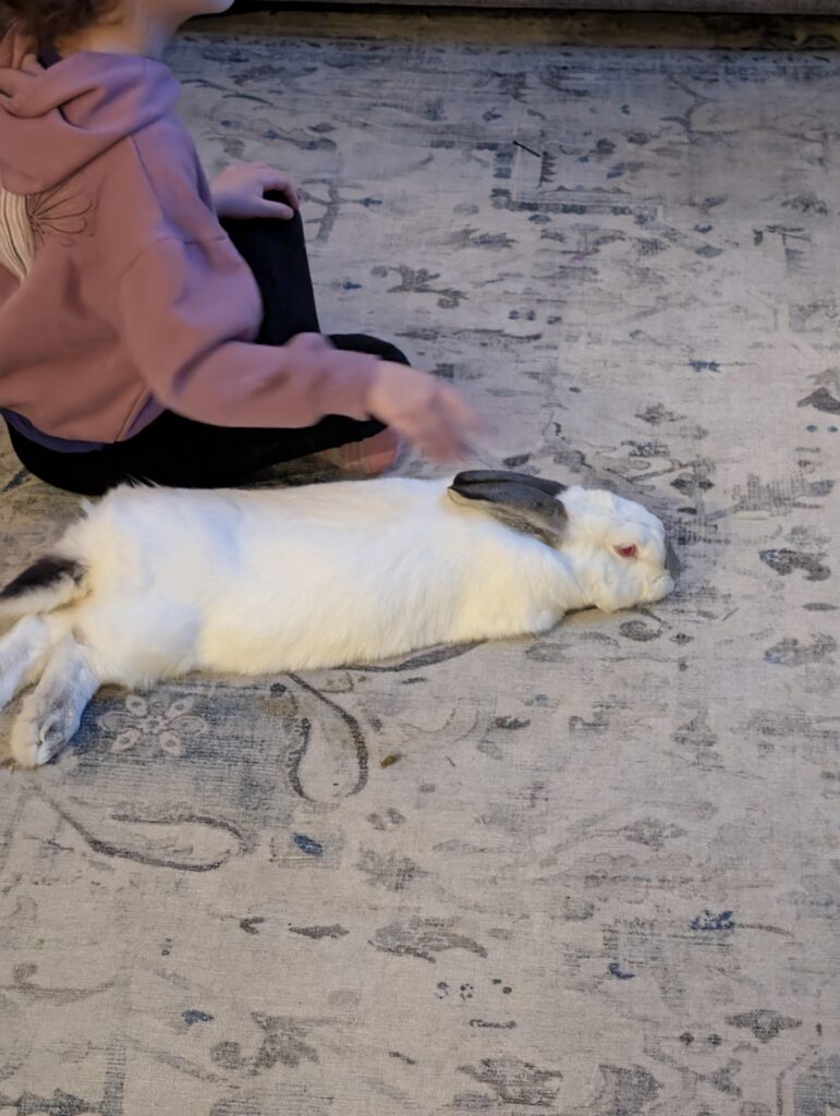 Peaceful, comfy noodle