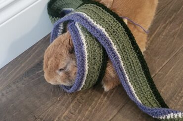 Here comes spring!! Time to put away the scarves!