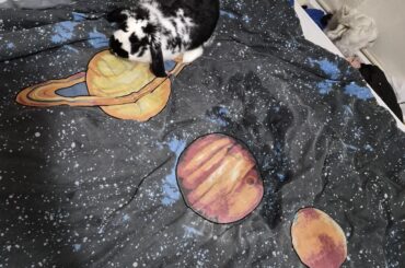 Shame him he peed in outer space.