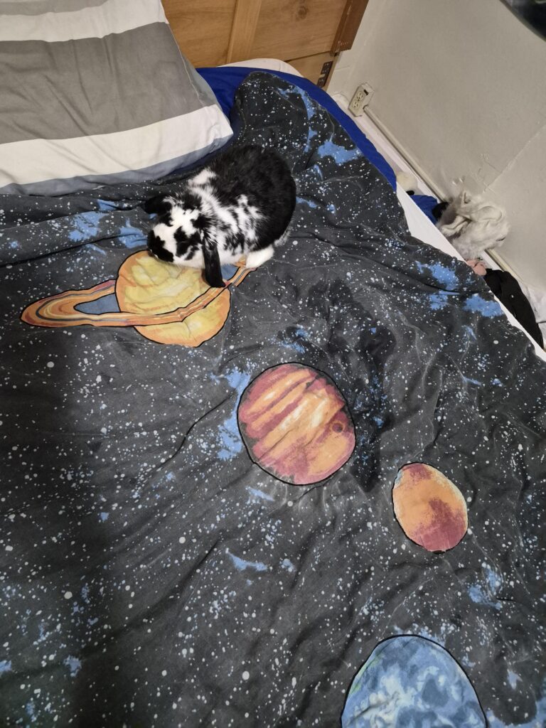 Shame him he peed in outer space.