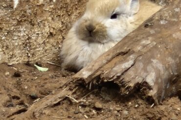 Loafing through life!