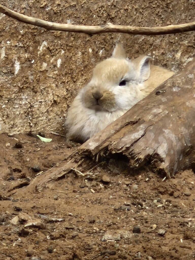 Loafing through life!